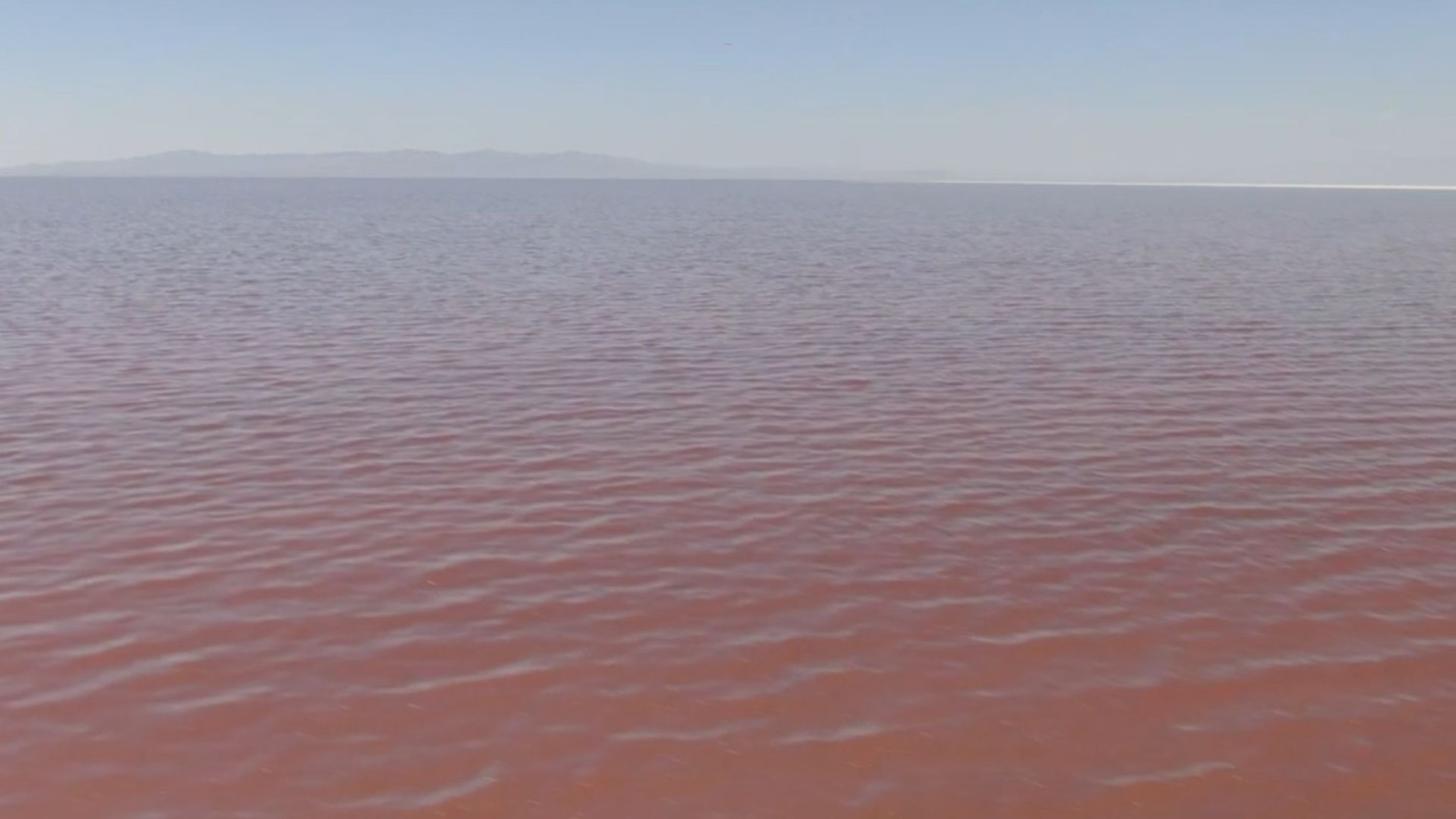 The pink appearance of the North Arm of the Great Salt Lake looks quite different from the typical blue-green water seen near the Marina. Photo courtesy FOX 13 News